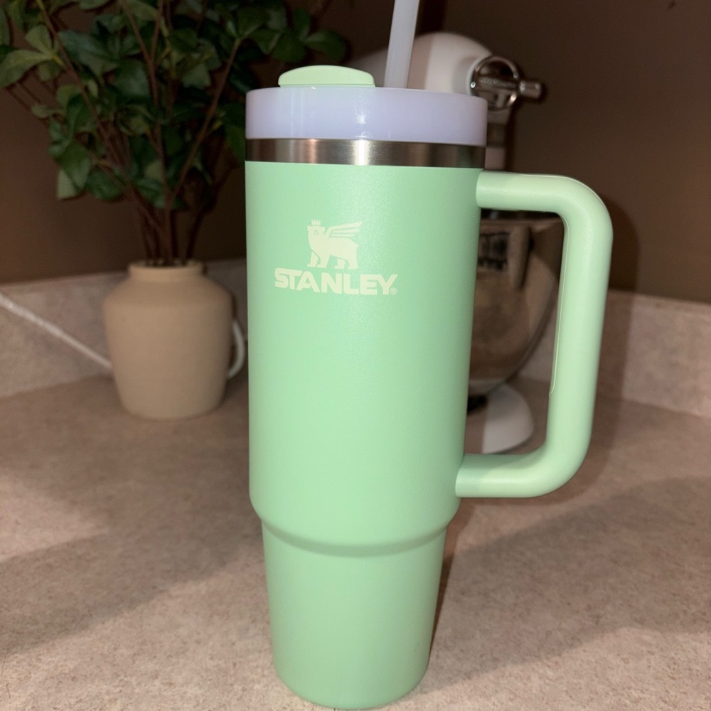 Stanley 30 oz H2.0 Quencher tumbler pistachio